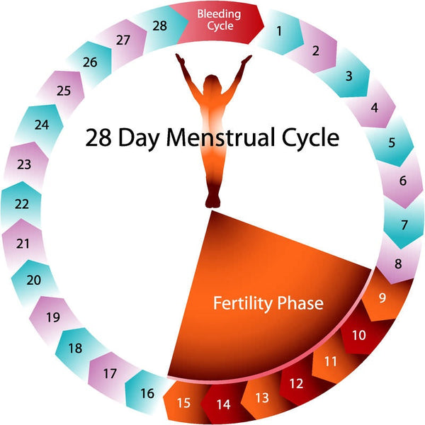 You SHOULD know about these 3 reasons of irregular menstrual cycles!